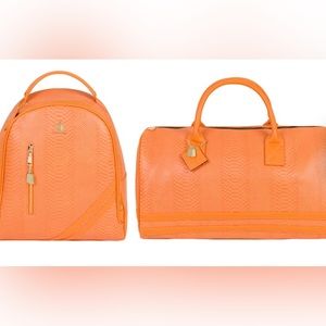 BRAND NEW TOTE & CARRY Backpack!!!!